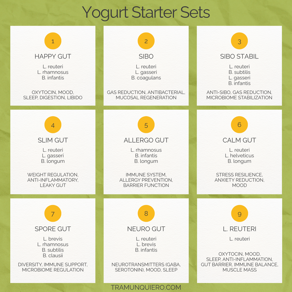 Starter Set "Neuro Gut" | L. reuteri, L. brevis, B. infantis Yogurt